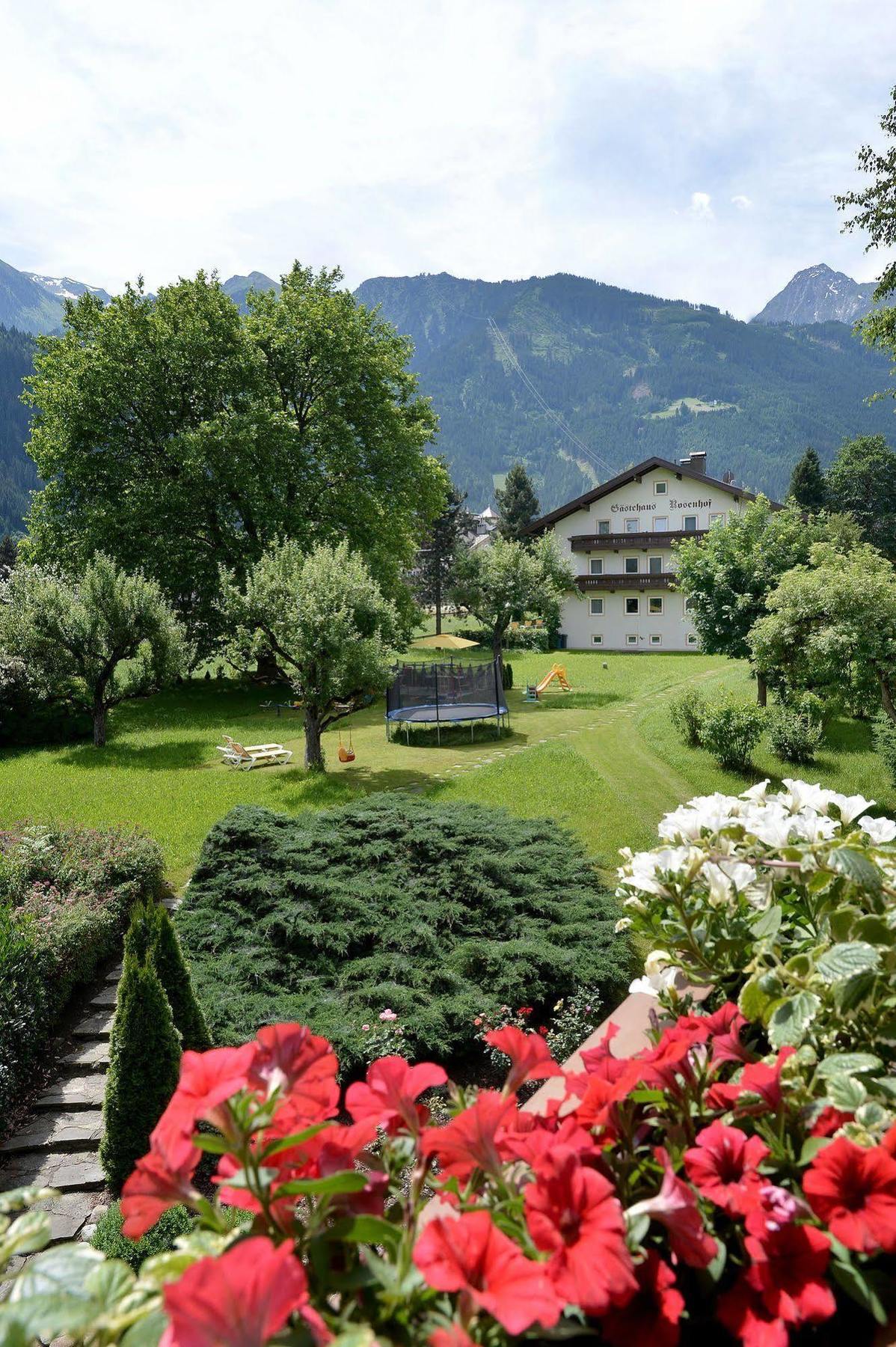 Pension Birkenhof Mayrhofen Ngoại thất bức ảnh